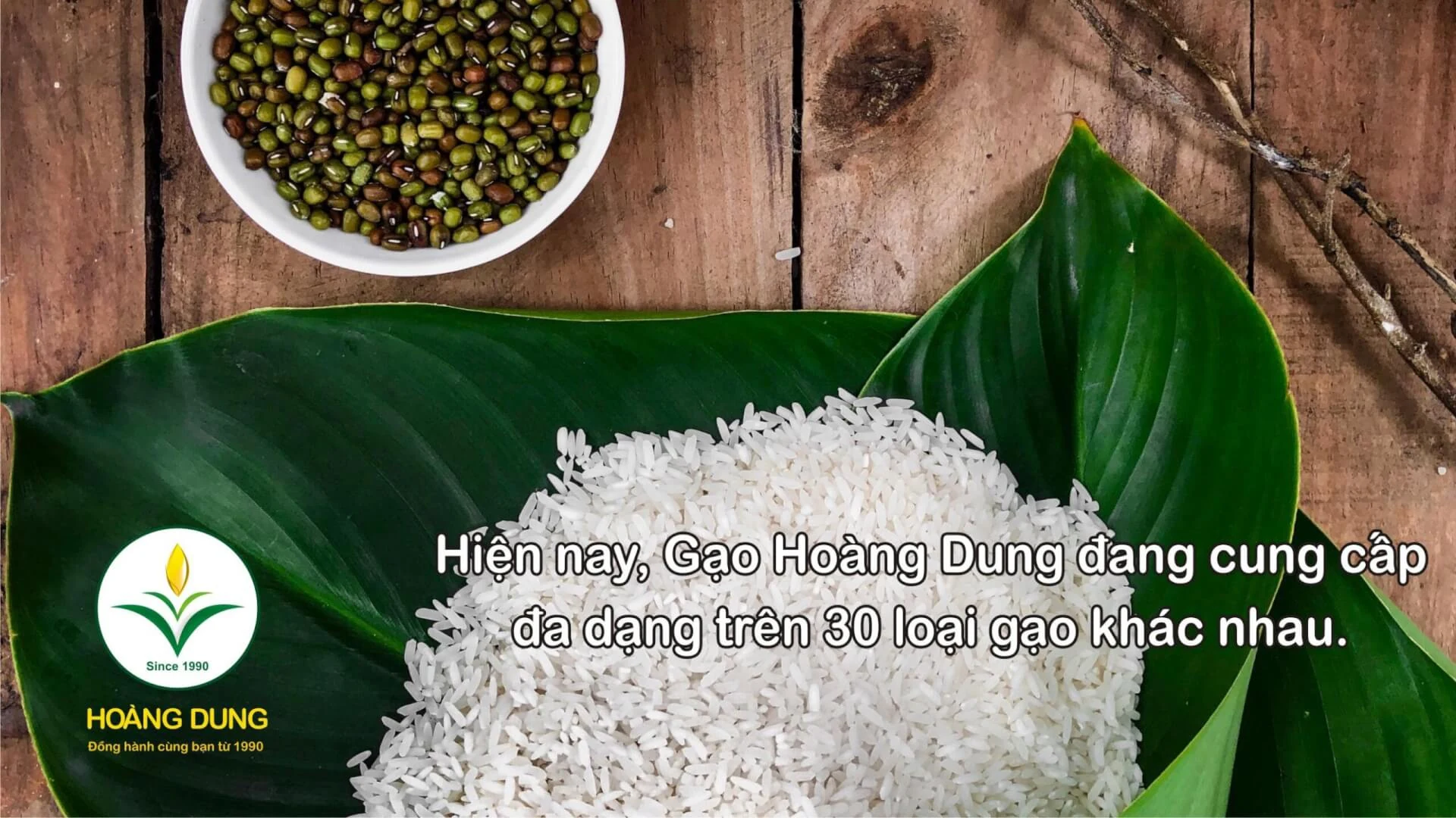 Hình ảnh Gạo Hoàng Dung — ảnh 1