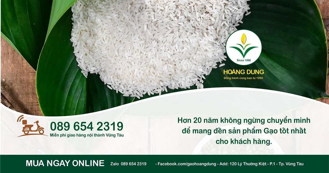Hình ảnh Gạo Hoàng Dung — ảnh 5