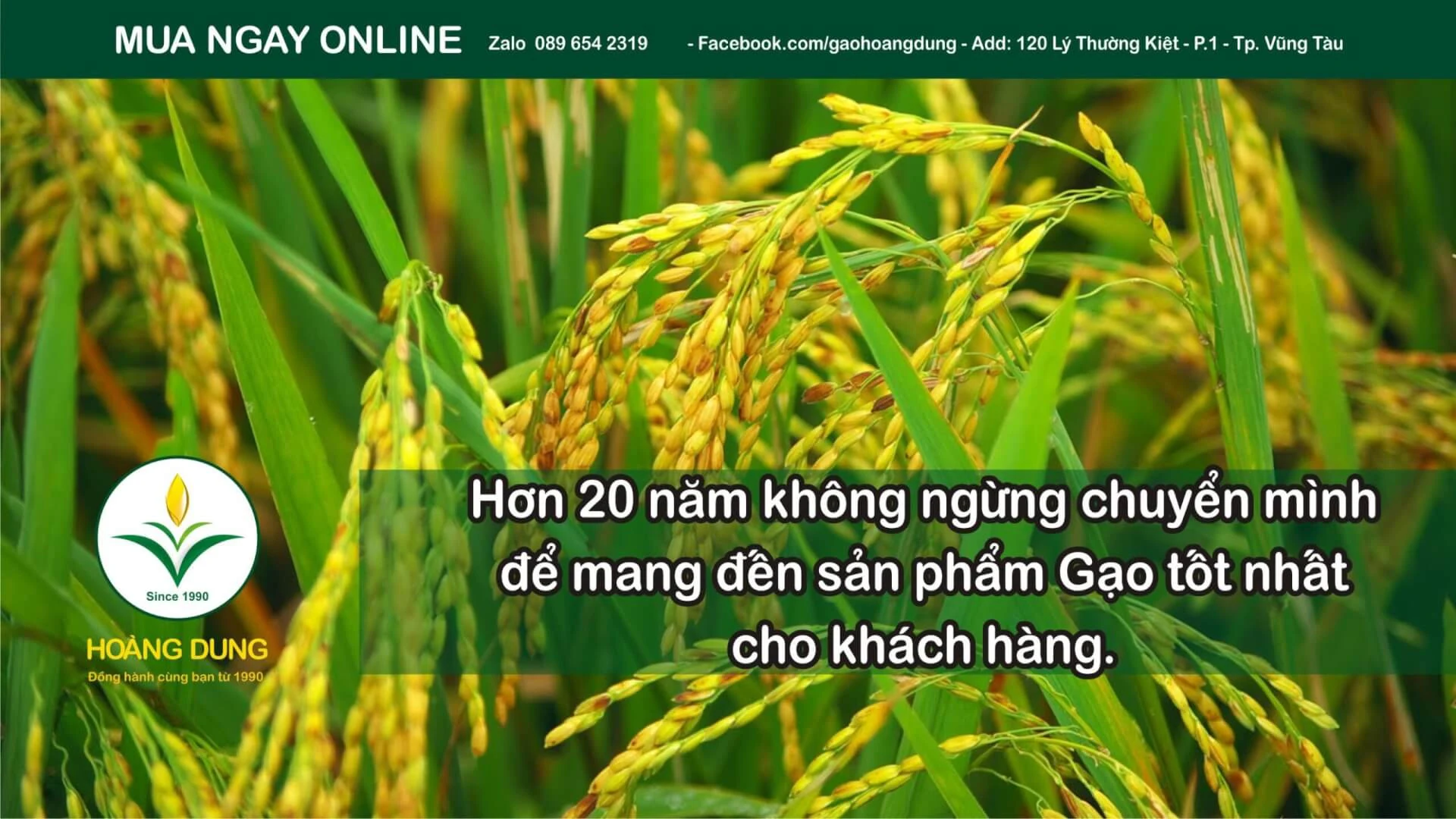 Hình ảnh Gạo Hoàng Dung — ảnh 3