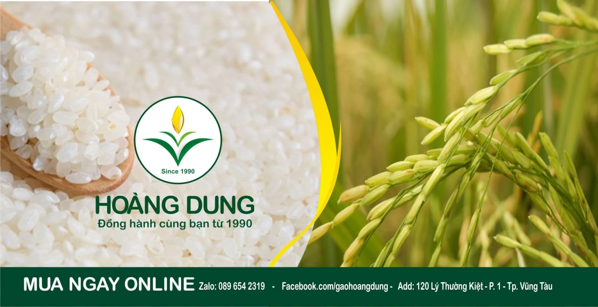 Hình ảnh Gạo Hoàng Dung — ảnh 2
